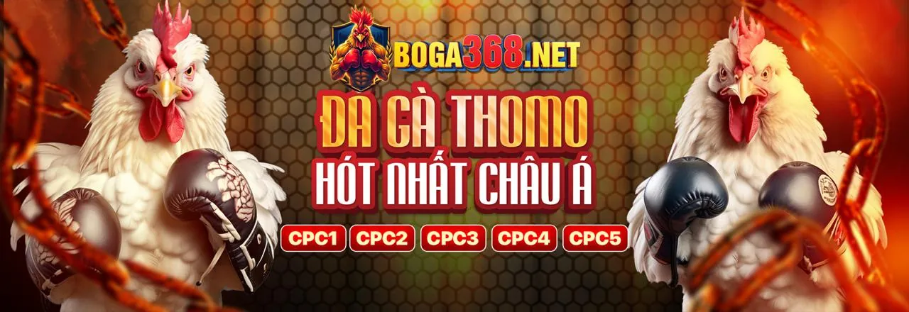 Giao diện thân thiện của YSB66