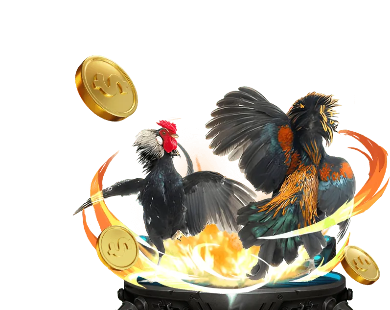 Giao diện cá cược trực tiếp tại ysb66 nhà cái
